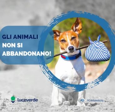 Immagine di copertina notizia #13479