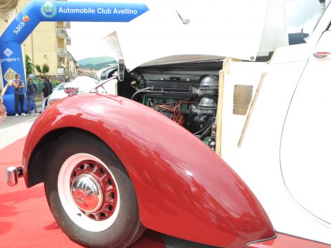 Immagine di copertina notizia #24554